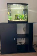 Aquarium en bijbehorend kastje, Dieren en Toebehoren, Ophalen, Gebruikt, Gevuld zoetwateraquarium