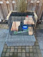 Hamsterkooi, Dieren en Toebehoren, Ophalen