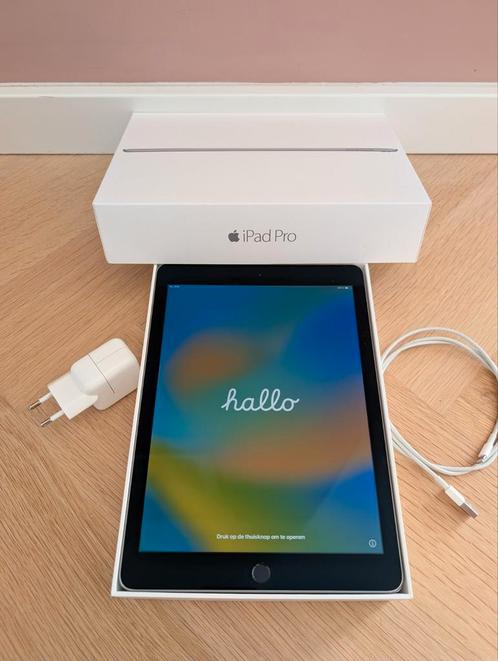 Apple iPad Pro, 256Gb, WiFi+Cellular (2016), Computers en Software, Apple iPads, Nieuw, Overige modellen, 10 inch, Grijs, Ophalen