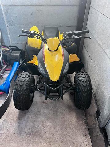 Quad Dolphin 100 - trike - kart - benzine beschikbaar voor biedingen