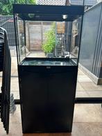 Aqualantis aquarium, Ophalen, Zo goed als nieuw, Leeg aquarium