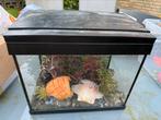 Aquarium SuperFish ongeveer 25x35cm, Dieren en Toebehoren, Vissen | Aquaria en Toebehoren, Ophalen, Zo goed als nieuw, Leeg aquarium