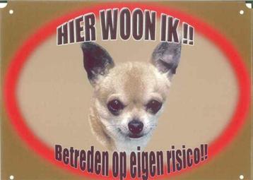 Waakbord Chihuahua - hier woon ik XL beschikbaar voor biedingen