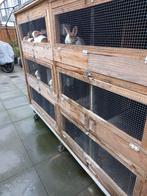 Konijnen flat op wielen 275, Dieren en Toebehoren, Ophalen of Verzenden, 110 cm of meer, Hok, 90 cm of meer