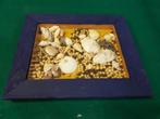 decoratie schelpen en zaden, Ophalen of Verzenden, 'T Olde Gre-j, Info@toldegrej.nl, Endepoelstraat 20f Didam