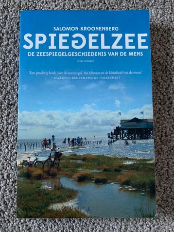 Spiegelzee - Salomon Kroonenberg beschikbaar voor biedingen