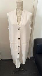 Selected femme  gilet maat L, Ophalen of Verzenden, Zo goed als nieuw, Maat 38/40 (M)