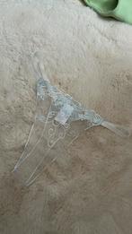 Super leuke geheel doorschijnende string Maat S, Ophalen of Verzenden, Zwart, String