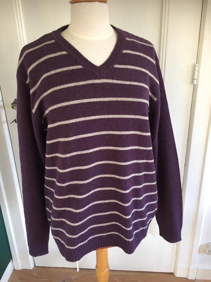 Springfield: Nieuwe, zachte lamswollen trui . Maat XL, Kleding | Dames, Truien en Vesten, Nieuw, Maat 46/48 (XL) of groter, Paars