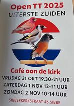 Open TT vogelvereniging het Uiterste Zuiden, Dieren en Toebehoren, Vogels | Kanaries, Meerdere dieren, Kleurkanarie