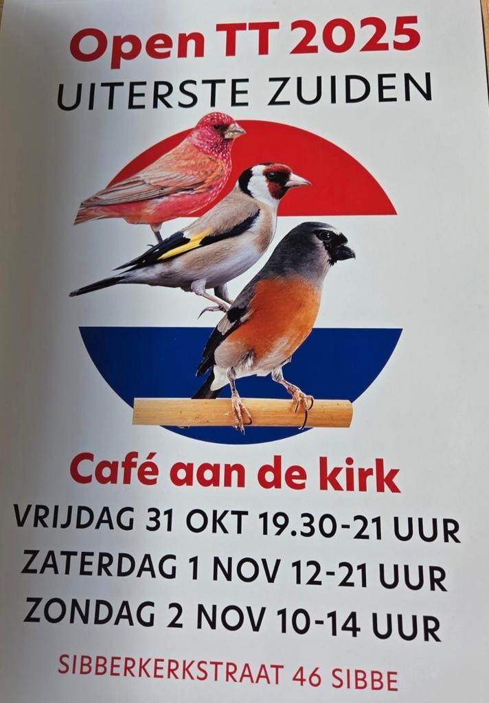 Open TT vogelvereniging het Uiterste Zuiden, Dieren en Toebehoren, Vogels | Kanaries, Kleurkanarie, Meerdere dieren