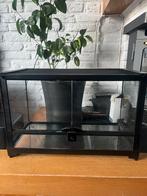 terrarium 50x25x35cm, Dieren en Toebehoren, Reptielen en Amfibieën | Toebehoren, Ophalen of Verzenden, Zo goed als nieuw, Terrarium of Paludarium
