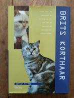Boekje BRITS Korthaar, Ophalen of Verzenden, Nieuw, Esther Verhoef