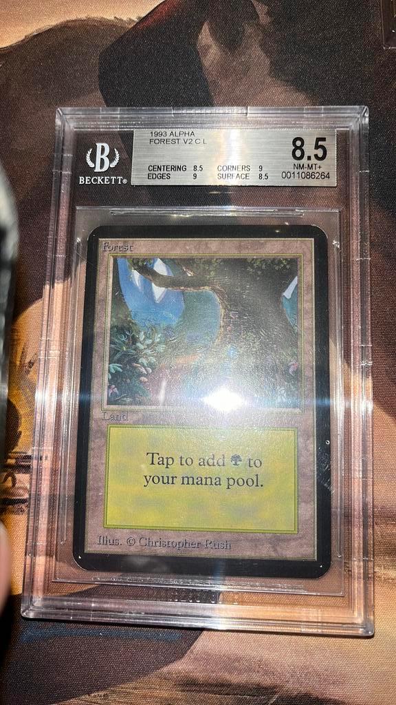 Forest Alpha BGS 8.5 #1, Hobby en Vrije tijd, Verzamelkaartspellen | Magic the Gathering, Zo goed als nieuw, Ophalen of Verzenden