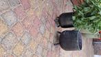 Bloempot, Ophalen, Gebruikt, Rond, Tuin