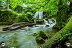Tuinposter-Schuttingposter Waterval 150x100 cm (bxh), Tuin en Terras, Tuinwanddecoratie, Verzenden, Nieuw, Good Smiling, Info@goodsmiling.com