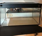 Aquarium/terrarium 100x50x50, Ophalen of Verzenden, Zo goed als nieuw, Leeg aquarium