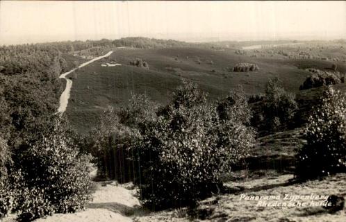 Zijpenberg - Rhedensche heide, Verzamelen, Ansichtkaarten | Nederland, Gelopen, Gelderland, Voor 1920, Verzenden