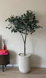 Siergrind van de Praxis, Tuin en Terras, Grind, Keien en Split, Ophalen, Nieuw