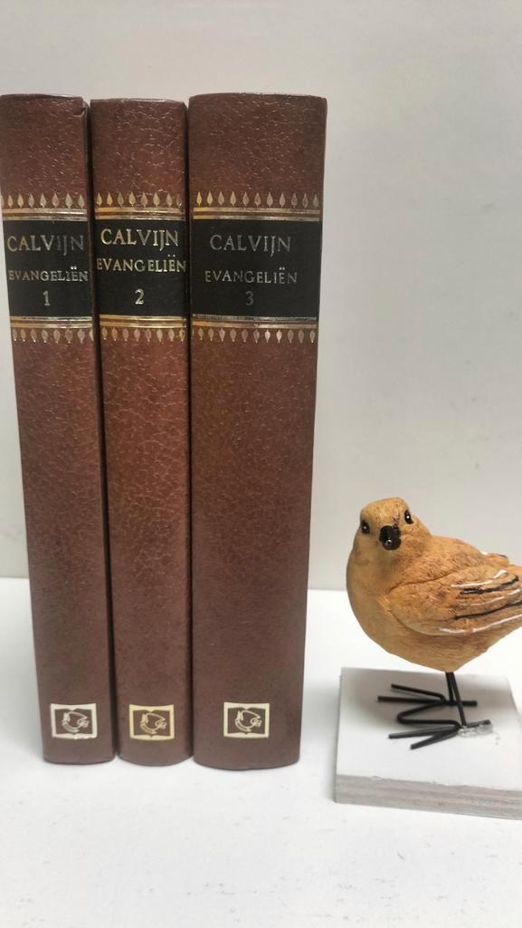 Calvijn, Joh.;Verklaring van de Bijbel : De Evangeliën (3 dl, Boeken, Godsdienst en Theologie, Gelezen, Christendom | Protestants