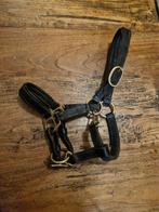 Halster veulen leer, Ophalen of Verzenden, Overige soorten