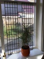 2 mooie brocante glas in lood ramen, Antiek en Kunst, Curiosa en Brocante, Ophalen