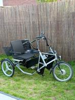Electrische Duofiets PF mobility side by side, Ophalen of Verzenden, Gebruikt