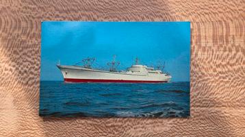 N.S. Savannah - Ongelopen Postkaart beschikbaar voor biedingen