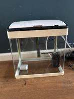 Aquarium met toebehoren, Dieren en Toebehoren, Vissen | Aquaria en Toebehoren, Ophalen, Gebruikt, Leeg aquarium