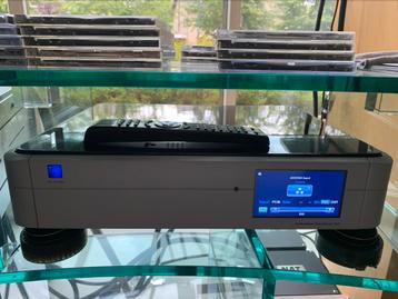 Ps Audio PerfectWave DirectStream Dac beschikbaar voor biedingen