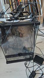 Kleine paludarium, Ophalen, Gebruikt, Terrarium of Paludarium