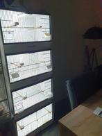 BAKKER  Broedkooien, Dieren en Toebehoren, Vogels | Hokken en Kooien, Ophalen, Zo goed als nieuw, Kunststof, Broedkooi of Kweekkooi