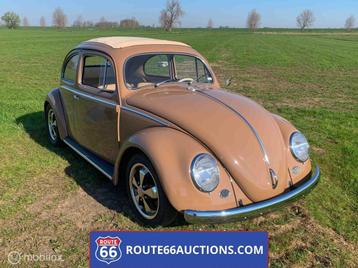 Volkswagen Beetle Oval Ragtop 1957 | Route 66 auctions beschikbaar voor biedingen