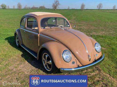 Volkswagen Beetle Oval Ragtop 1957 | Route 66 auctions, Auto's, Oldtimers, Bedrijf, Te koop, Open dak, Volkswagen, Benzine, Cabriolet