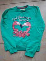 Leuke trui met flamingo's, meisje, maat 140. Orange Stars, Kinderen en Baby's, Kinderkleding | Maat 170, Ophalen of Verzenden