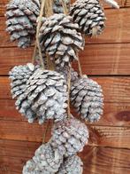 2 hangers met denneappels aan touw intratuin, Ophalen of Verzenden