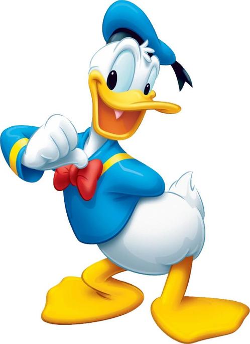 Donald Ducks 14 jaargangen te koop bijna allemaal compleet, Boeken, Strips | Comics, Gelezen, Complete serie of reeks, Europa