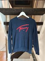 Donkerblauwe trui Tommy Hilfiger maat 164, Gebruikt, Trui of Vest, Ophalen of Verzenden, Tommy Hilfiger