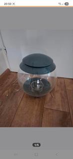 Biorb g3500 20 liter, Ophalen, Gebruikt, Overige typen
