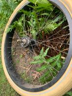 Oltimer Fietswiel - Schwalbe Fat Balloon, Fietsen en Brommers, Fietsonderdelen, Ophalen of Verzenden, Gebruikt, Oldtimer, Wiel