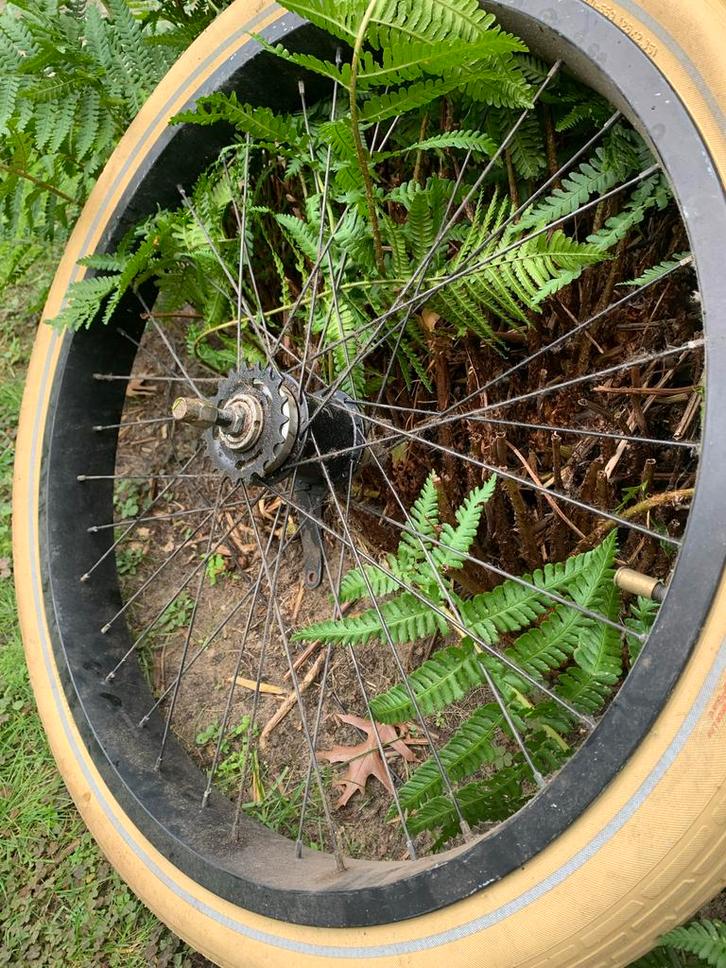 Oltimer Fietswiel - Schwalbe Fat Balloon, Fietsen en Brommers, Fietsonderdelen, Gebruikt, Oldtimer, Wiel, Ophalen of Verzenden