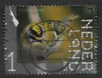 2022, NVPH 4050 - Leuvenumse bossen, Vuurgoudhaan {A216}, Ophalen of Verzenden, Na 1940, Gestempeld
