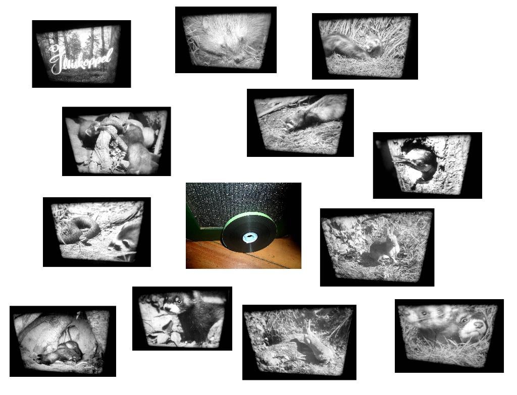 16mm film de bunzing jongen - (iltis familie) - 12 min zw/w, Ophalen of Verzenden, 16mm film