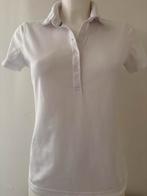 Abacus golfpolo mt 36, Verzenden, Wit, Zo goed als nieuw, Abacus