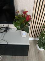 Mooie Anthurium kamerplant met pot, Overige soorten, In pot, Minder dan 100 cm, Bloeiende kamerplant