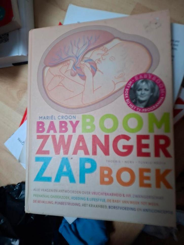 Zwangerschapsboek - Alle fases beschreven!, Boeken, Zwangerschap en Opvoeding, Ophalen of Verzenden