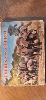 Dieren van overal., Boeken, Prentenboeken en Plaatjesalbums, Ophalen of Verzenden, Gelezen