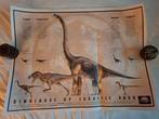 Jurassic Park plaat van alle dino's uit de eerste film, Ophalen, Zo goed als nieuw, Poster