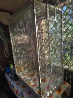 Grote kooi, vogelkooi, rattenkooi, Dieren en Toebehoren, Vogels | Hokken en Kooien, Ophalen, Gebruikt, Metaal, Vogelkooi