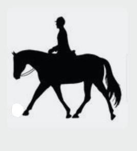 Huurwoning met paardenfaciliteiten gezocht, Dieren en Toebehoren, Stalling en Weidegang, Opfok, Stalling, Weidegang, 1 paard of pony